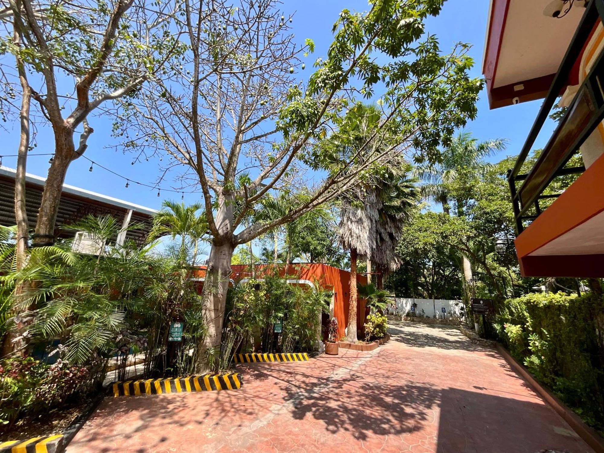 El Zaguan Colonial By Guruhotel Valladolid  Dış mekan fotoğraf